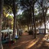 Viale alberato con tende da campeggio ai lati, illuminato dal sole.