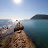 Raggi di sole sul mare calmo con tronco in primo piano.